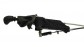 Item:194059