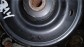 Item:201242