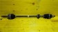 Item:202192