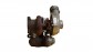Item:202666