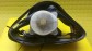 Item:202835