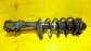 Item:202977