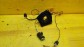 Item:203701