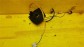 Item:203875