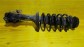 Item:203889