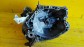 Item:204131