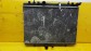Item:204162