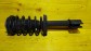 Item:204208