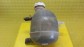 Item:204239
