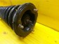 Item:204295