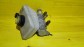 Item:204328
