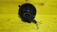 Item:204389