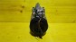 Item:204452