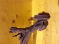 Item:205028