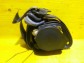 Item:205181