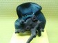 Item:205207
