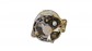 Item:205335