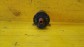 Item:205355