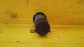 Item:205355