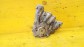 Item:205359