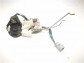 Item:205388
