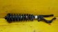 Item:205457