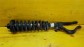 Item:205457