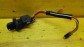Item:205581