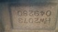 Item:205694