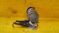 Item:205981