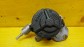 Item:206442