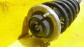 Item:206534