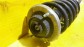 Item:206534