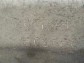 Item:206584