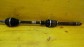 Item:206624