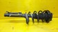 Item:206684