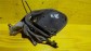 Item:206866