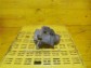 Item:207117