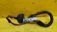 Item:207265