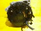 Item:207446