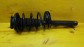 Item:207683