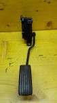 Item:207843