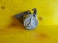 Item:208865