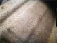 Item:208869