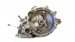 Item:208899