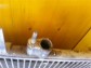 Item:209129