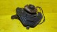 Item:209335