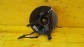 Item:209726