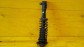 Item:209786