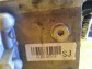 Item:209955